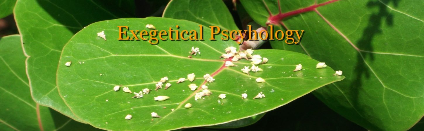 SEA GRAPE WHITE DOTS Exegetical Psychology
